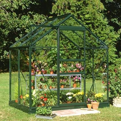 Royal Well | Hobbykas Popular 46 Veiligheidsglas | Groen